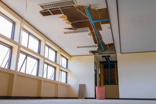 Best Water damage cleanup near me  in Northfield, KY