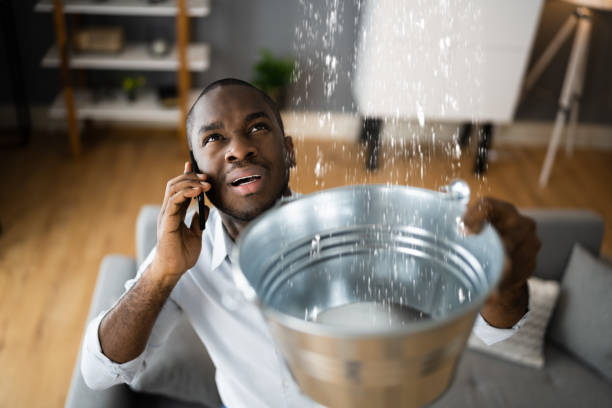 Best Water damage restoration process  in Northfield, KY