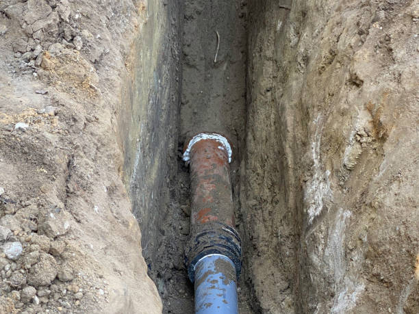 Best Flood restoration services  in Northfield, KY