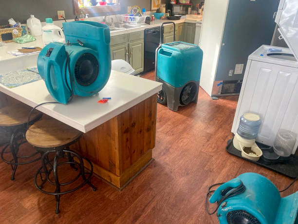 Trusted Northfield, KY Water damage restoration Experts