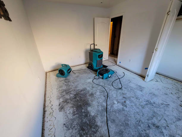 Carpet water damage restoration in Northfield, KY