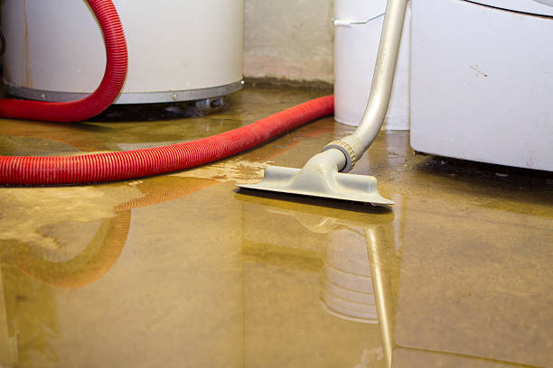 Best Basement water damage restoration  in Northfield, KY