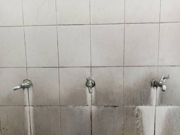 Best 24/7 water damage repair  in Northfield, KY