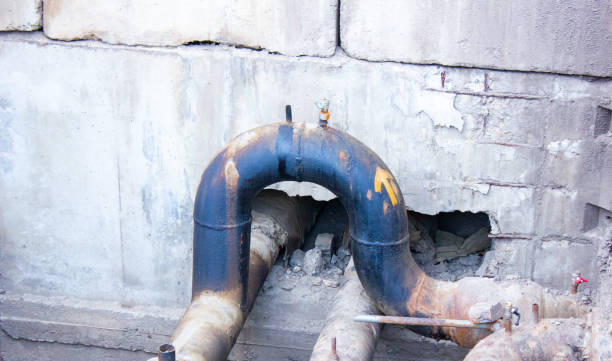 Best Mold removal after water damage  in Northfield, KY